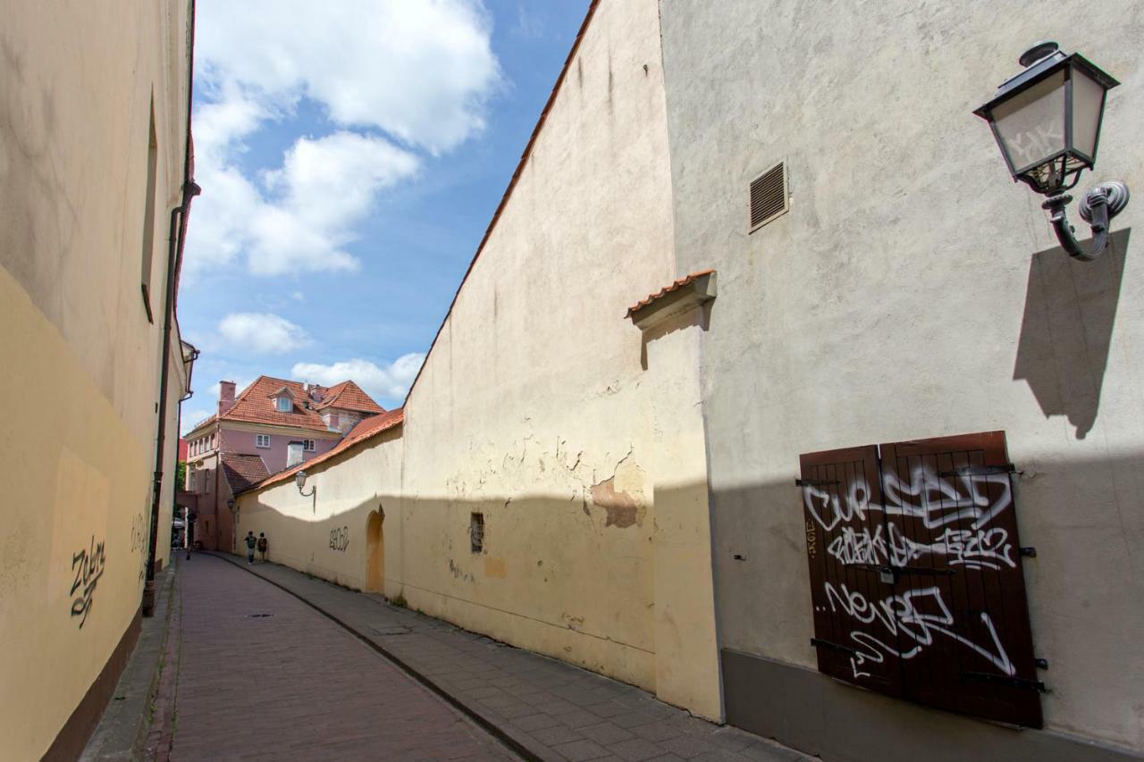 New Quiet Cozy City Center Apartment VNO Kültér fotó